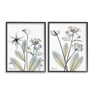 Stupell Modern Budding Blooms Framed Giclee Art Design By Albert Koetsier (Set of 2)