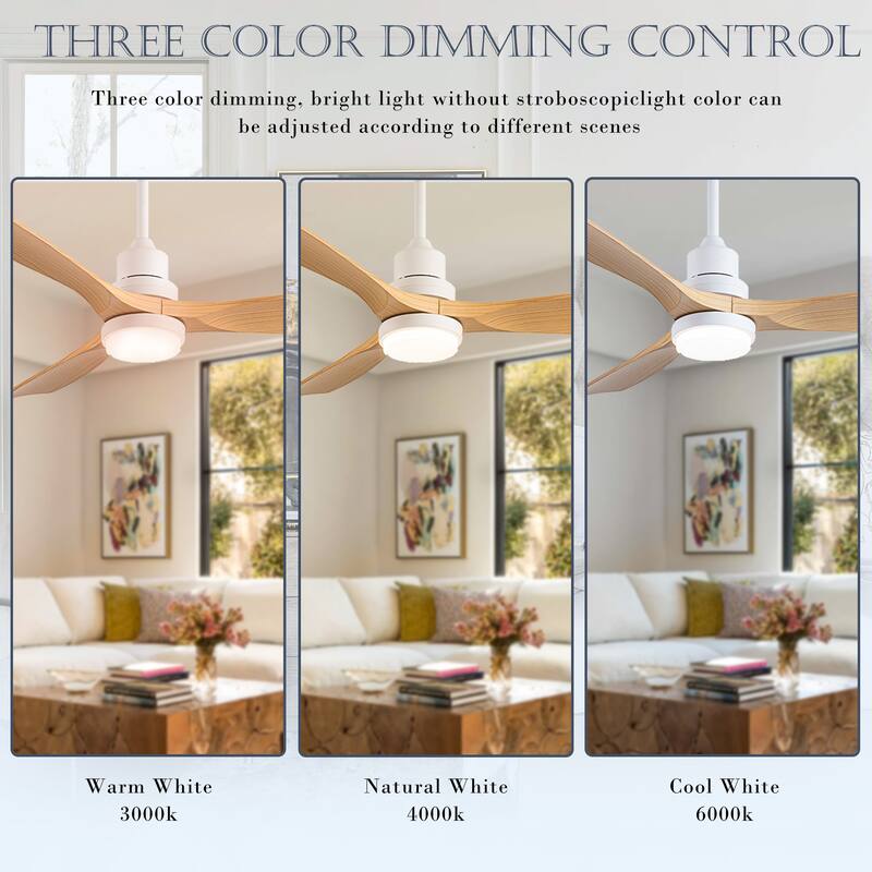 Morden LED Ceiling Fan with Light and Remote