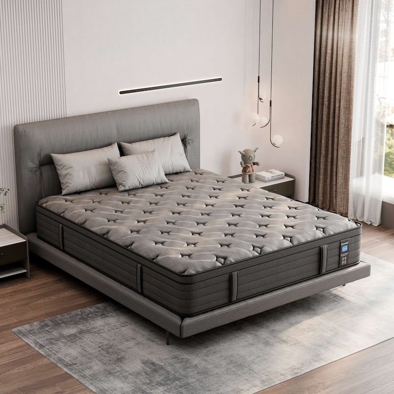 Modland 14-inch Hybrid Medium Euro Top Mattress, Pocket Spring Mattress in a Box - Queen