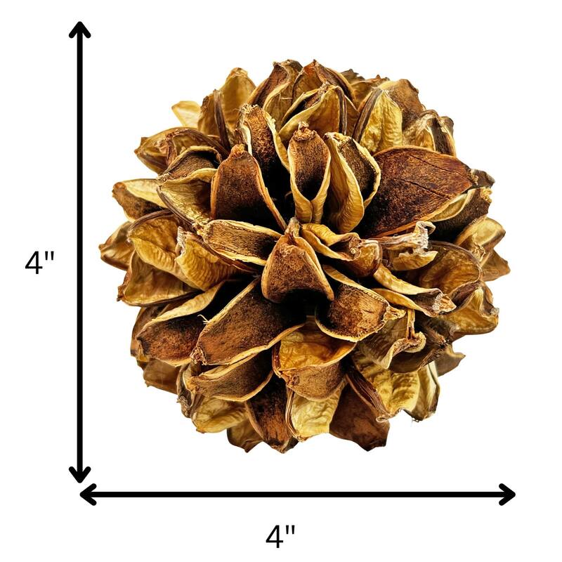 Handmade Preserved Topiary Balls, Set of 9 Decorative Floral Orbs - 4 inch