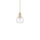 Option Champagne Bronze / Clear