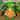 St. Patrick's Day Garden Gnome with Red Beard and Horseshoe