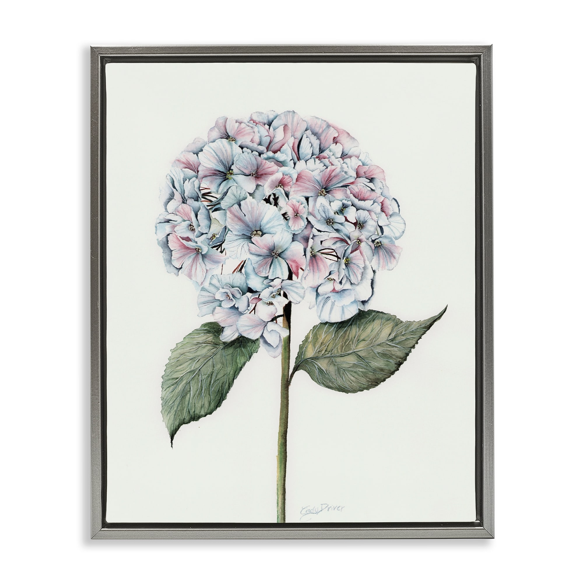 Stupell Round Hydrangea Bulb Framed Floater Canvas Wall Art Design By Cady Driver