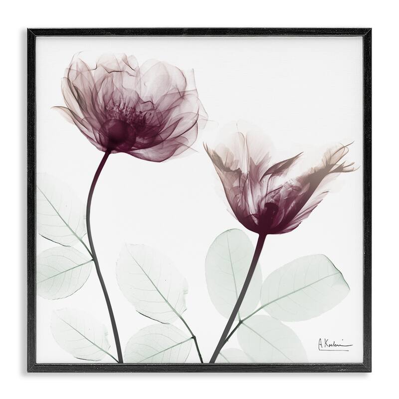 Stupell Minimalist Translucent Flowers Framed Giclee Art Design By Albert Koetsier - 17 x 17 - Black