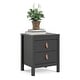 preview thumbnail 12 of 20, Porch & Den Madrid 2-Drawer Nightstand