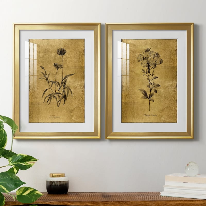 Gold Sketch Botanical I Premium Framed Print - Ready to Hang