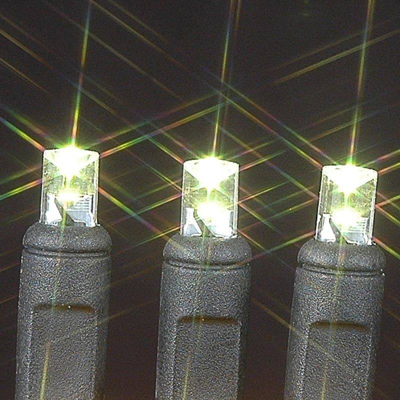 50 Light LED Christmas Mini Light Set, Patio Lights, Warm White, Black Wire, 11’