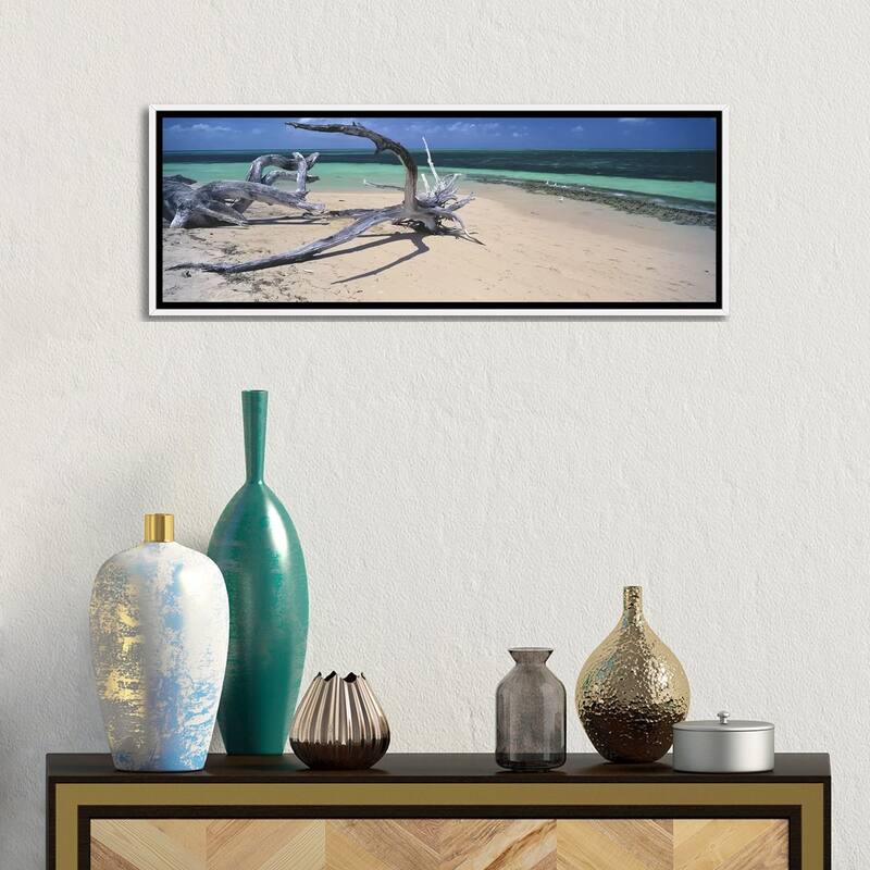 iCanvas "Driftwood on the beach, Green Island,Great Barrier Reef, Queensland, Australia" by Panoramic Images Framed Canvas Print