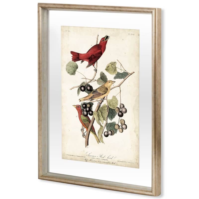 Summer Red Bird Framed Art Print