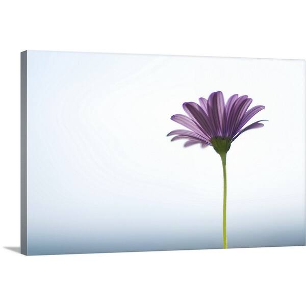 overstock com