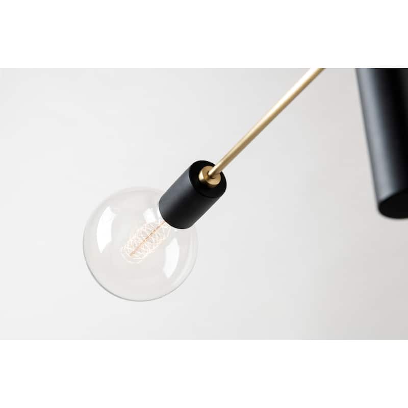 Mitzi by Hudson Valley Astrid 12-Light Black Chandelier