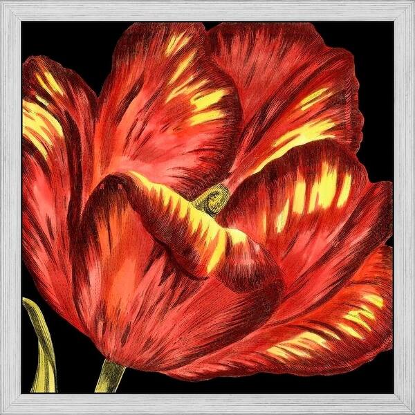 Shop Easy Art Prints Vision Studio S Mini Transitional Tulip I