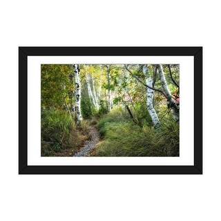 iCanvas "Birch Trees & Tall Grass" by Danny Head