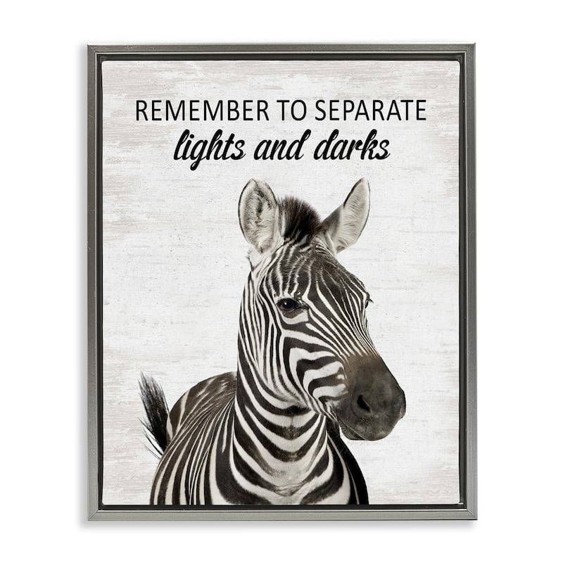 Stupell Remember To Separate Laundry Framed Floater Canvas Wall Art Design By Lettered and Lined - 25 x 31 - Grey