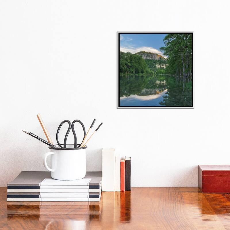 iCanvas "Bald Cypress Trees, Frio River, Old Baldy Mountain, Garner State Park, Texas" by Tim Fitzharris Framed Canvas Print
