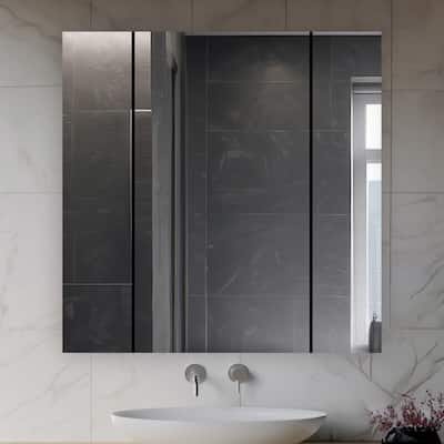 AQUADOM Royale 40W Medicine Cabinet Defogger, 3X LED Lighted Vertically Adjustable Magnifying Mirror, Electrical Outlets.