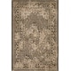preview thumbnail 32 of 62, SAFAVIEH Palazzo Paivikki Modern Oriental Rug 4' x 6' - Beige/Grey - Rectangle