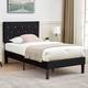 Option Black