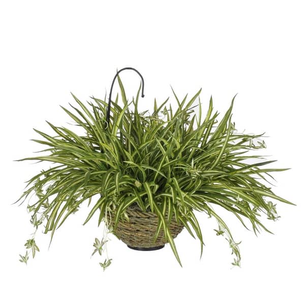 Faux Spider Plant Hanging Basket - Bed Bath & Beyond - 36190885