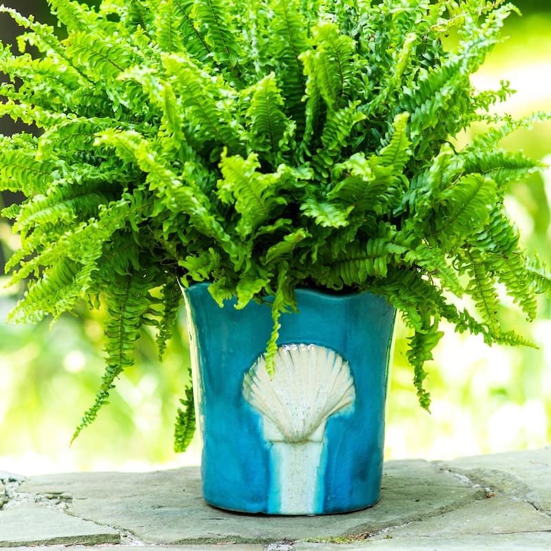 Euro Ceramica Grotto Aqua Stoneware 8" Seashell Planter - 8 in. x 8 in. x 7.75 in.
