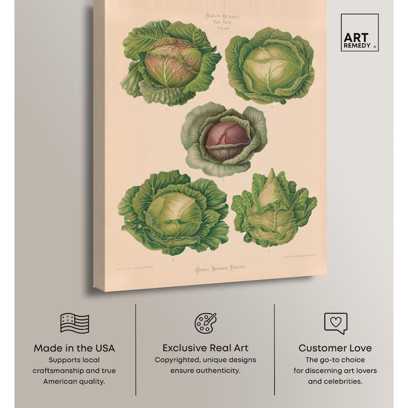 Cabbages by Benary 1876 Canvas by Art Remedy, Gallery Wrapped