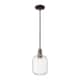 Option Oil Rubbed Bronze / Clear