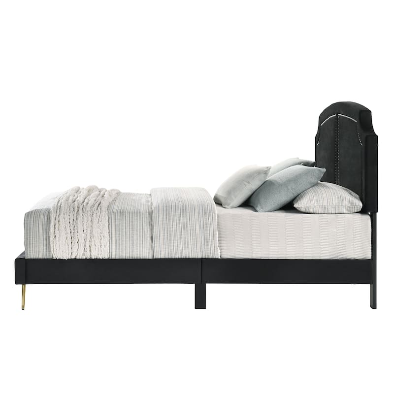 Contemporary Style Black Velvet Upholstered Eastern King Bed Gold