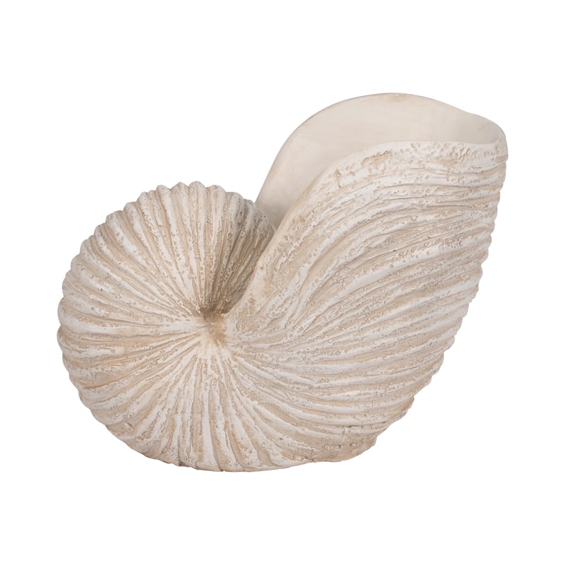 Sagebrook Home Coastal Neutral 18" Ivory Shell Sculpture - 18" x 11" x 13" - 18" x 11" x 13" - Textured solid Ivory/beige