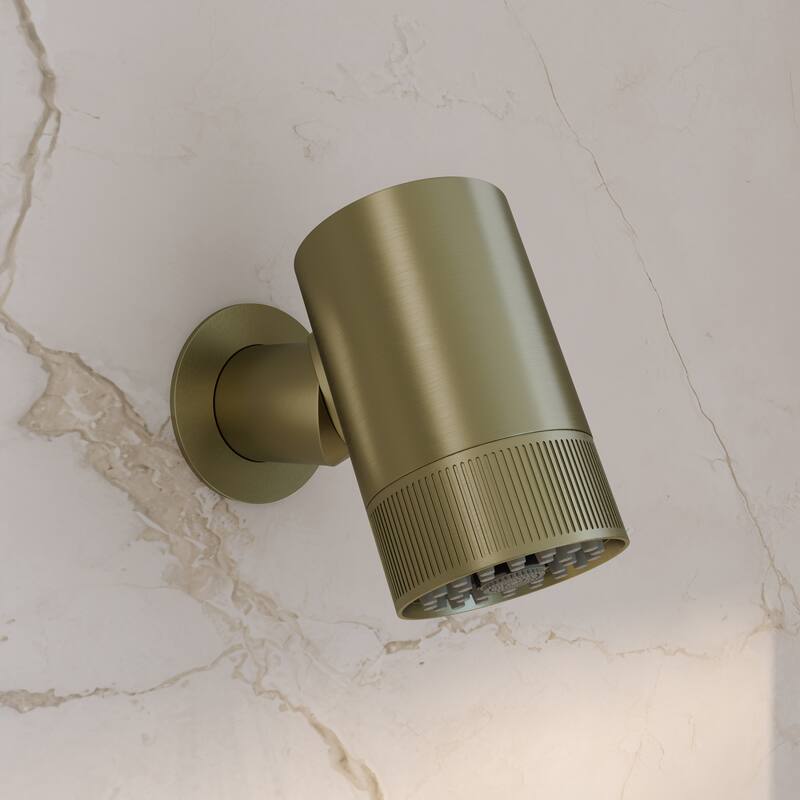 Lumiere 2-Spray Patterns 2.5 Gpm Wall Mount Fixed Shower Head In Brushed Gold