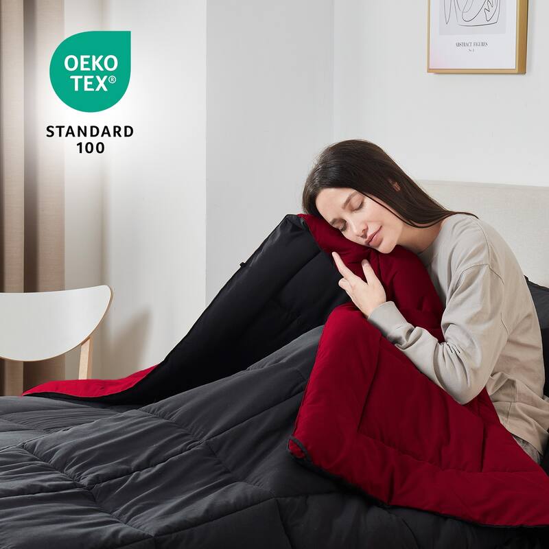 Empyrean All Season Alternative Down Lightweight Reversible Comforter Set