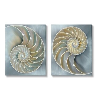 Stupell Intricate Nautilus Interior Natural Geometric Design, 2pc Multi ...