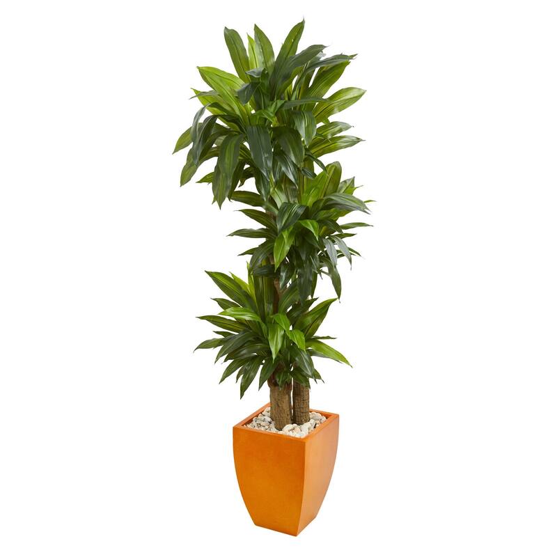 Artificial Rubber Plant in White Vase - 4ft Tall Faux Greenery Home Decor Indoor Outdoor - Orange - 66