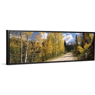 Shop Aspen Trees On Both Sides Of Old Lime Creek Road Cascade