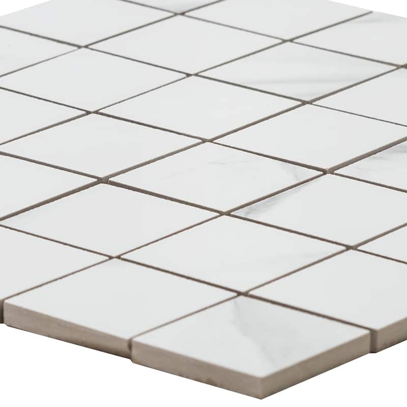 The Tile Life Tmolus 2x2 Porcelain Floor & Wall Tile