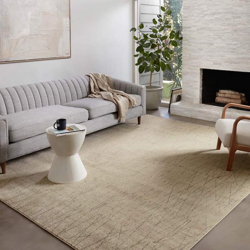 Alexander Home Bradford Modern Pendulum Area Rug - 6' 7" x 9' 7" - Beige / Pepper - Runner/Rectangle