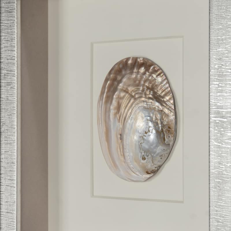 HUJI Abalone & Pearl Shell Shadow Box Wall Décor Set