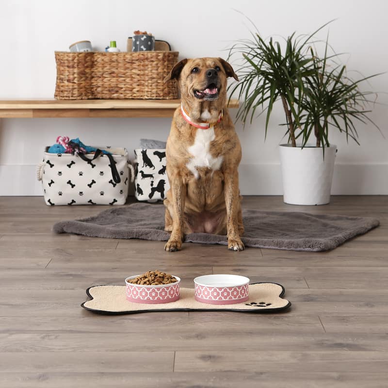 Bone Dry Lattice Pet Bowl (Set of 2)