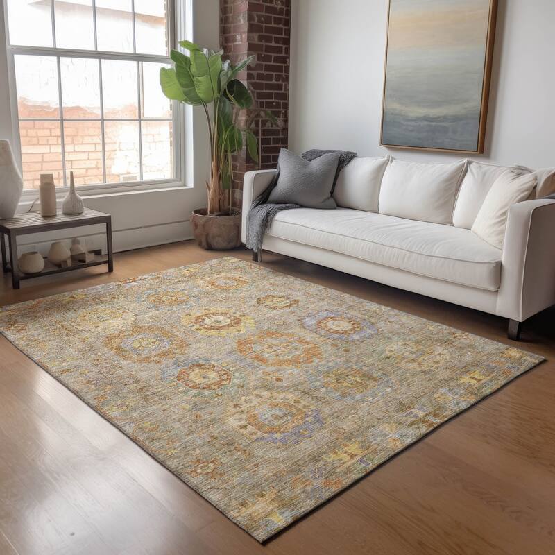 Machine Washable Indoor/ Outdoor Vintage Traditional Chantille Rug