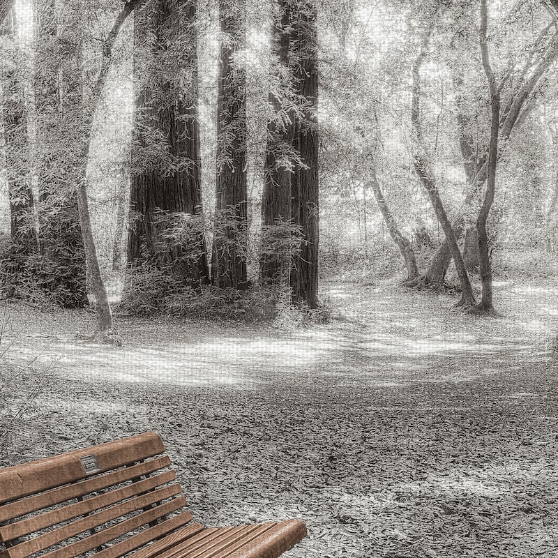 Old Mill Park by Alan Blaustein Canvas Art Print