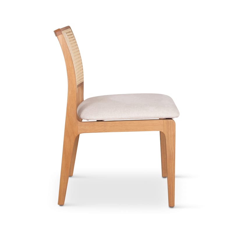 Modern Brazilian - Larissa Side Chair