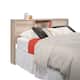 Option Pacific Maple