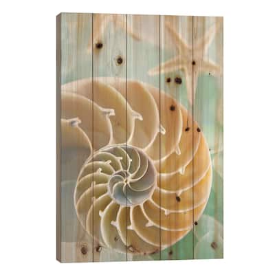 Seaglass 2 Print On Wood by Alan Blaustein - Multi-Color