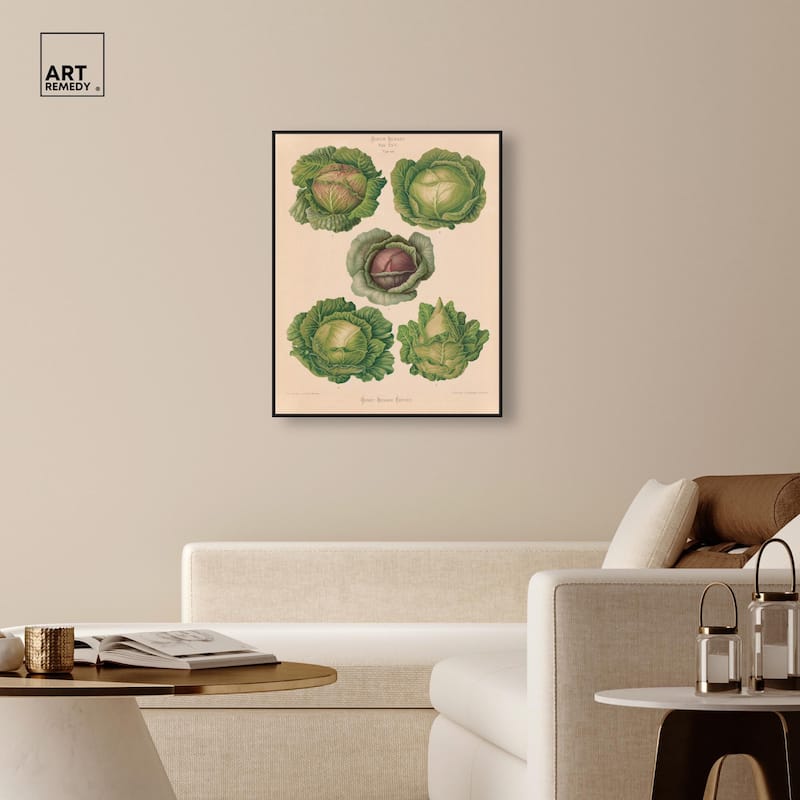 Cabbages by Benary 1876 Canvas by Art Remedy