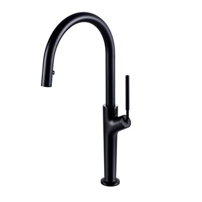 Single Handle Kitchen Faucet with Pull Down Sprayer Brass 1 Hole Brass Pull Down Kitchen Sink Faucets