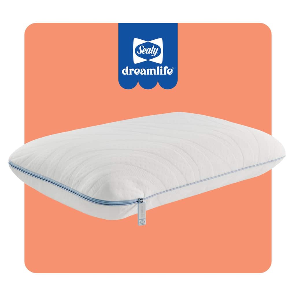 Sealy Dreamlife Performance Foam Pillow, Standard