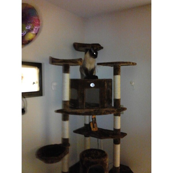 80 inch cat tree