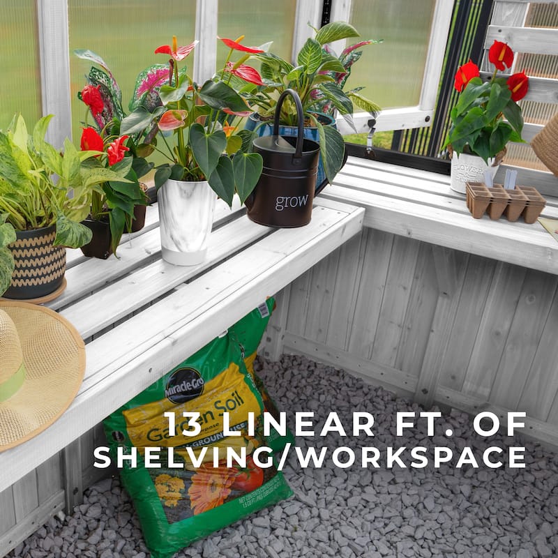 Backyard Discovery 9 x 6 Willow Greenhouse