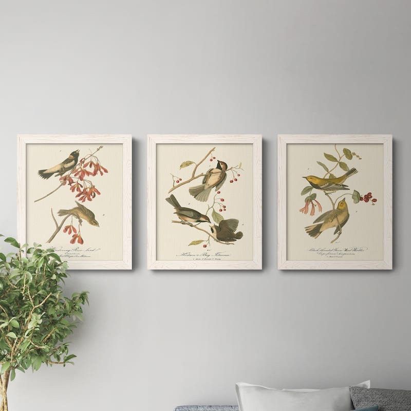 Wandering Rice Bird-Premium Framed Canvas - Ready to Hang - Multi-Color