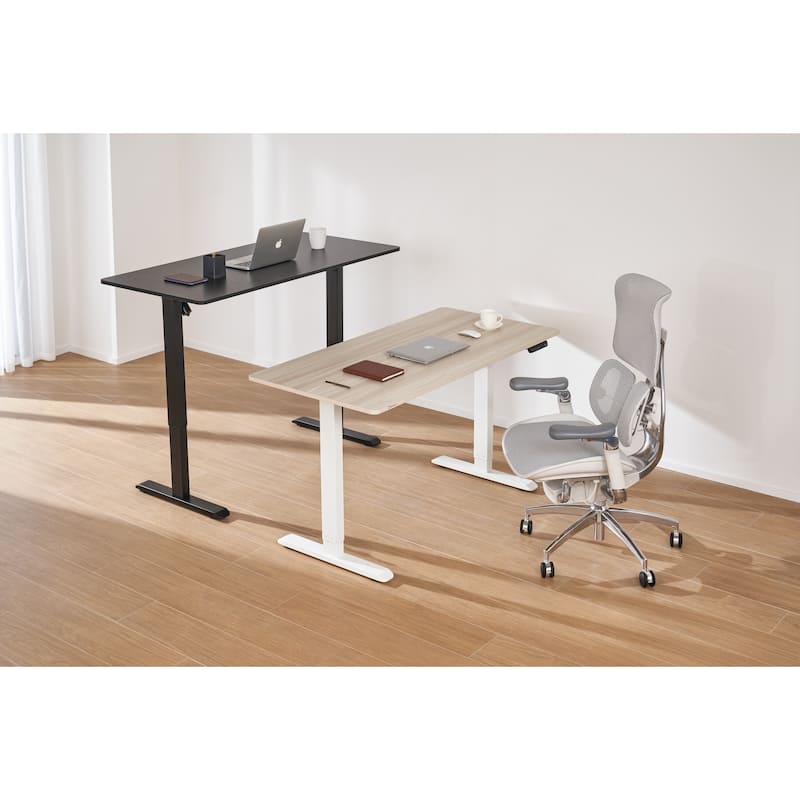 Sihoo D03 Office Desk, Height-Adjustable Standing Desk