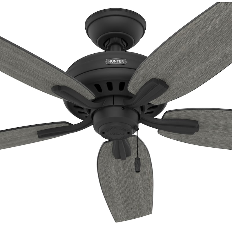 Hunter 52" Newsome Ceiling Fan with Pull Chain - Traditional - Casual